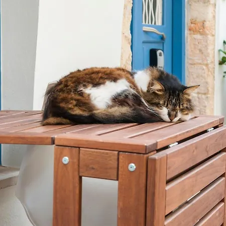 Дом отдыха Revellino Del Porto, Historic